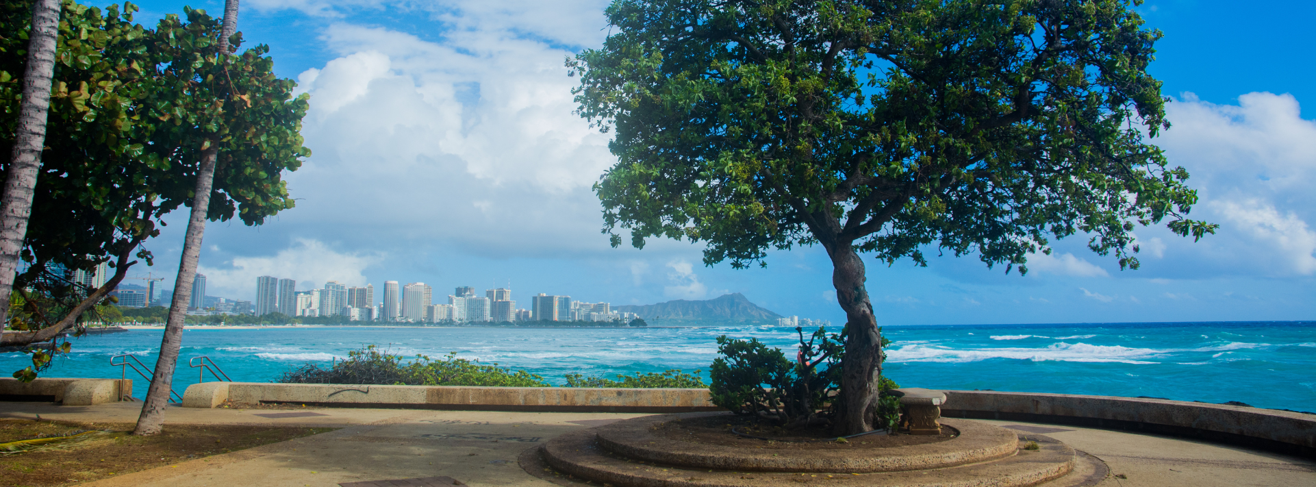 Beat the Drum in Honolulu